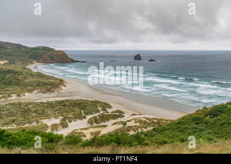 Sandfly Bay an einem bewölkten Sommertag, Dunedin, Otago Region, South Island, Neuseeland, Stockfoto