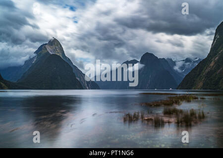 Lange Exposition der Milford Sound mit Ebbe an einem bewölkten Sommertag, Fjordland NP, Süden, Süden Region, South Island, Neuseeland, Stockfoto