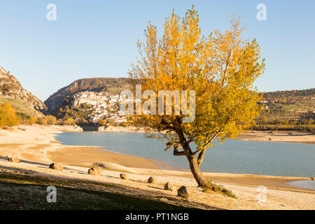 Drei mit herbstlichen Farben im Barrea See, Barrea, Abruzzen, Italien Stockfoto