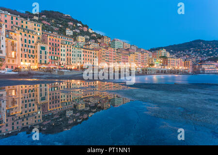 Bunte Häuser mit Weihnachtsbeleuchtung des malerischen Dorfes Camogli, Golf von Paradies, Portofino Nationalpark, der Provinz Genua, Ligurien, Italien gerahmt Stockfoto