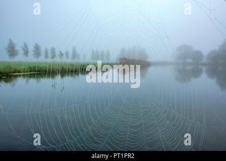 Schlehdorf, Kochel See, Bad Tölz-Wolfratshausen, Oberbayern, Deutschland, Europa, Spinnennetz mit Morgentau am Bootshaus bootssteg am Kochelsee Stockfoto