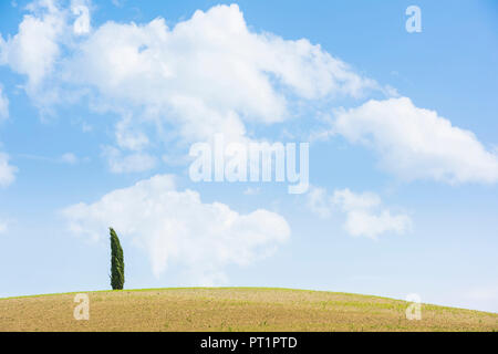 San Quirico d'Orcia, Val d'Orcia, Toskana, Italien, Stockfoto