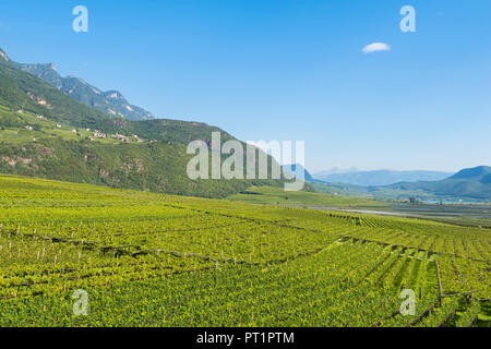 Tramin, Provinz Bozen, Trentino-Südtirol, Italien mit Blick auf die Weinberge, Stockfoto