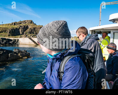 Fidra Island, Firth of Forth, Schottland, Großbritannien, 5. Oktober 2018. Mitarbeiter und Freiwillige der Royal Society for Protection of Birds reisen nach Fidra, um Baummalow abzuhauen, eine nicht-einheimische invasive Pflanze auf den Firth of Forth-Inseln, die gefährdete Papageitaucher daran hindert, Höhlen zu schaffen. Die Ausflüge finden im Frühling und Herbst statt, vor und nach dem Papageitauchennest. Die heutige Reise genoss einen warmen, sonnigen Tag mit blauem Himmel. Das Boot kehrt zurück, um die Gruppe beim Verlassen der Insel abzuholen Stockfoto