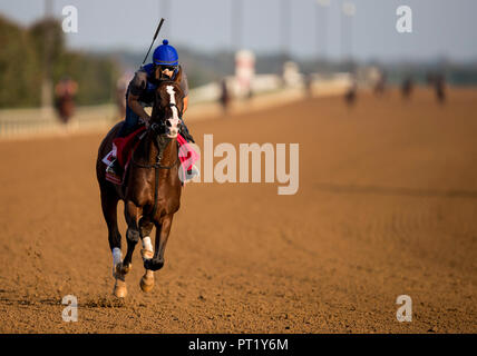 Lexington, KY, USA. 4. Okt, 2018. Oktober 05, 2018: Krieg der Wird galoppiert bei Keeneland Racecourse am Oktober 05, 2018 in Lexington, Kentucky. Evers/ESW/CSM/Alamy leben Nachrichten Stockfoto