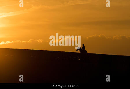 Lexington, KY, USA. 4. Okt, 2018. Oktober 05, 2018: Pferde Zug bei Keeneland Racecourse am Oktober 05, 2018 in Lexington, Kentucky. Evers/ESW/CSM/Alamy leben Nachrichten Stockfoto