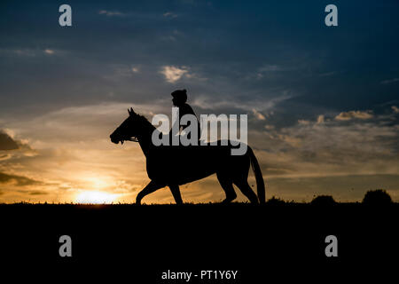 Lexington, KY, USA. 4. Okt, 2018. Oktober 05, 2018: Pferde Zug bei Keeneland Racecourse am Oktober 05, 2018 in Lexington, Kentucky. Evers/ESW/CSM/Alamy leben Nachrichten Stockfoto