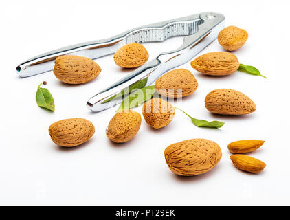 Rohe Mandeln, geschält, mit Schale, Haut (almendrucos) und Mandel Blätter. Auf weissem Hintergrund. Stockfoto