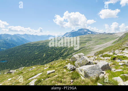 Blick auf Buscagna Tal, mit Cistella und Diei, Alpe Devero, Ossola, Piemont, Alpen, Italien Stockfoto