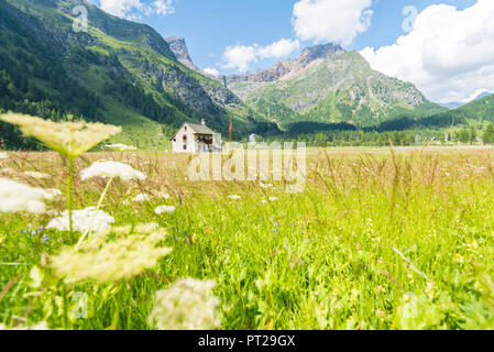 Einsame Ferienhaus in Piedimonte, Alpe Devero, Ossola, Piemont, Alpen, Italien Stockfoto