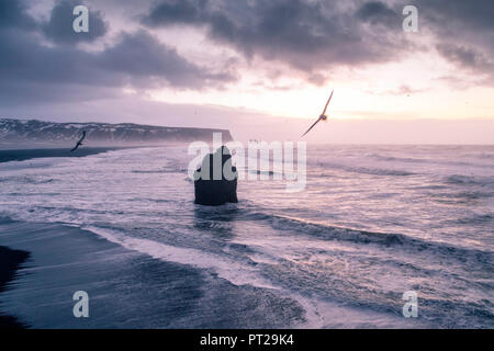 Strand Reynisfjara von Dyrholaey Viewpoint, Vik, im südlichen Island Stockfoto