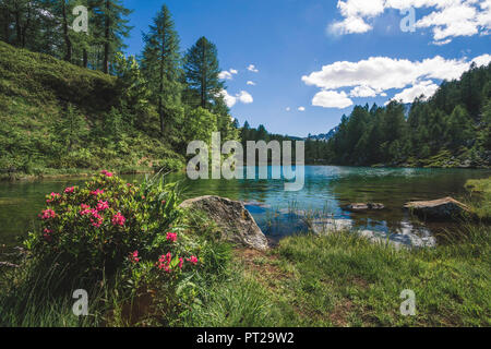 Lago delle Streghe, Crampiolo, Alpe Devero, Antigorio Tal, Piemont, Italien Stockfoto