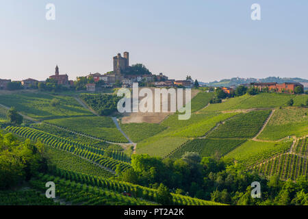 Serralunga d'Alba, Barolo wein Region, Weinberge, Langhe, Piemont, Italien Stockfoto