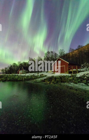 Northern Lights auf typischen Rorbu, Tovik, Skanland Gemeinde, Troms County, Lofoten, Norwegen Stockfoto