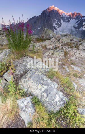 Sonnenaufgang am Mont Blanc, Courmayeur, Aostatal, Italien Stockfoto