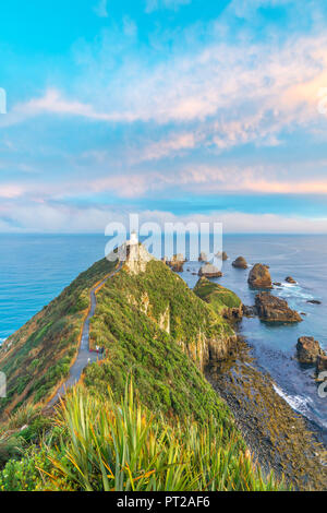 Nugget Point Lighthouse bei Sonnenuntergang von einem erhöhten, Ahuriri Flach, Clutha-distrikt, Region Otago, Südinsel, Neuseeland, Stockfoto