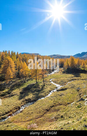 Ansicht des Buscagna Tal im Herbst Jahreszeit von der Alpe Buscagna (Alpe Devero, Alpe Veglia und Alpe Devero Naturpark, Baceno, Provinz Verbano Cusio Ossola, Piemont, Italien, Europa) Stockfoto