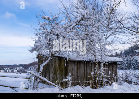 Alte hölzerne Scheune in einer Winterlandschaft, Brilon, Deutschland Stockfoto
