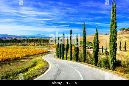 Beeindruckende Herbst Landschaft, Ansicht mit colrful Weinbergen und Zypressen, Chianti, Toskana, Italien. Stockfoto