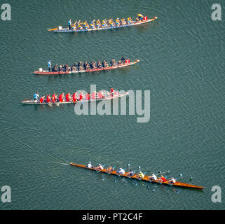 Drachenboot Training an der Ruhr mit Rudern acht, Ruhr in Kupferdreh, Essen, Ruhrgebiet, Nordrhein-Westfalen, Deutschland, Europa Stockfoto