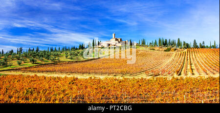 Schöne Banfi altes Schloss, Ansicht mit Weinbergen und Zypressen in der Nähe von Montalcino, Toskana, Italien. Stockfoto