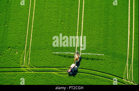 Traktor Pflanzenschutz ein grünes Kornfeld, Landwirtschaft, Warstein, Sauerland, Nordrhein-Westfalen, Deutschland, Europa Stockfoto