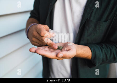 Junger Mann mit Cannabis in der Hand Stockfoto