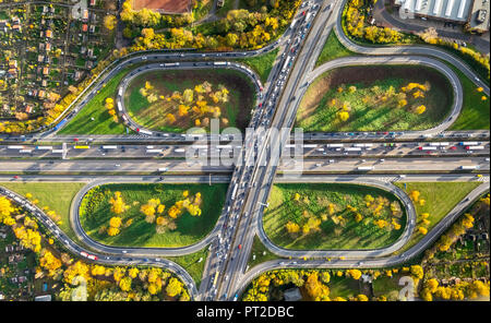 Autobahnkreuz Kleeblatt, A40 und A59 Bei Rush Hour, Staus auf der A 40 in der Nähe von Duisburg, Kleingärten, feratel media technologies KGV Neuland, feratel media technologies Berliner Brücke, Ruhr Deich, Duisburg, Ruhrgebiet, Nordrhein-Westfalen, Deutschland Stockfoto