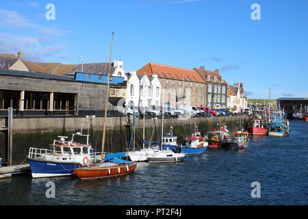 Blick auf die Fischerboote und andere kleine Boote im Eyemouth Hafen, Borders, Schottland mit Gebäuden am Kai in der Stadt. Stockfoto