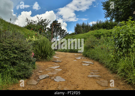 Neuseeland, Matamata, hobbiton Movie Set Stockfoto