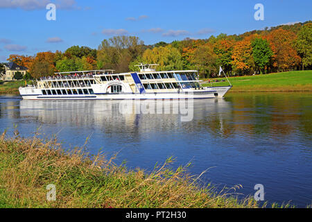 Ausflugsschiff auf der Elbe in der Nähe von Schloss Pillnitz, Dresden, Sachsen, Deutschland Stockfoto