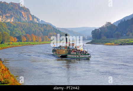 Historische Raddampfer auf der Elbe in der Nähe der Stadt Wehlen, Elbsandsteingebirge, Sächsische Schweiz, Sachsen, Deutschland Stockfoto