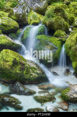 Lepenjica, lepena Tal, Nationalpark Triglav, Slowenien Stockfoto