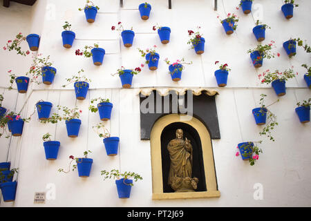 Blaue Blumentöpfe auf der weißen Wand Stockfoto