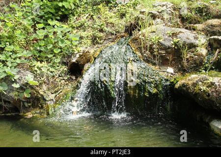 Kleiner Wasserfall fließt über einige bemoosten Felsen Stockfoto