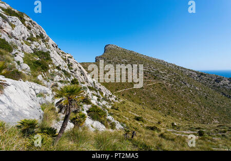 Spanien, Balearen, Mallorca, Pollenca, Halbinsel Formentor, Fußweg zur Cala Murta, Serpentin, Cami Vell del Weit Stockfoto