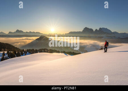 Seiser Alm, Dolomiten, Südtirol, Italien, Sonnenaufgang auf der Hochebene von bullaccia/Puflatsch, im Hintergrund die Gipfel der Geislergruppe, Sella und Langkofel Stockfoto