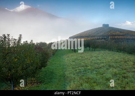 Weinberge und Apple Orchard an nebligen Tag im Herbst, Aymavilles, Aostatal, Italien, Stockfoto