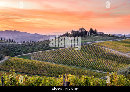 Bauernhaus, das von Weinbergen bei Sonnenaufgang umgeben, Gaiole in Chianti, Provinz Siena, Toskana, Italien, Stockfoto