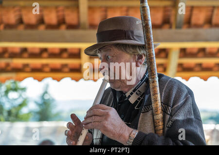 YABLUNYTSIA, UKRAINE - September 12, 2018: älterer Mann Folk Musiker spielt Musik auf der Säge auf Berg Tal Paprika, Ort für Erholung und Unterhaltung Stockfoto