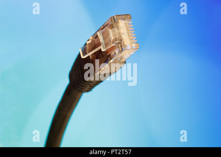 Schwarz netzwerk kabel stecker, die Ansicht zu schließen. Stockfoto