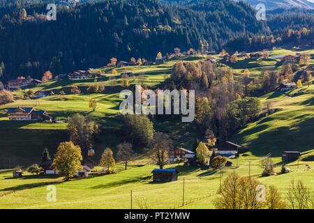 Schweiz, Kanton Bern, Berner Oberland, Grindelwald, Chalets, Gondelbahn, Bergbahn Stockfoto