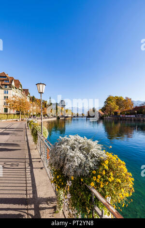 Schweiz, Kanton Bern, Berner Oberland, Thun, Aare, Aarequai Stockfoto