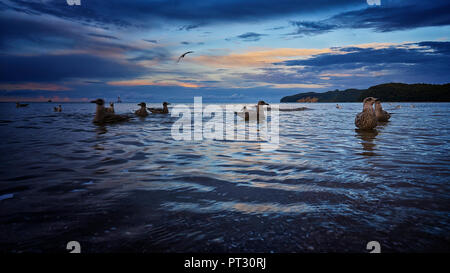 Warme Sommernacht am Sandstrand vom Meer. Sonnenuntergang an der Ostsee in Binz. Rammstein Schwimmen ins Meer Stockfoto