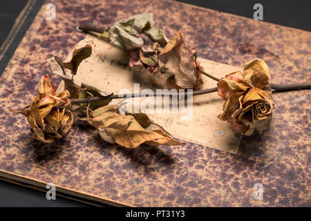 Verwelkte Rosen an einem Buch Stockfoto