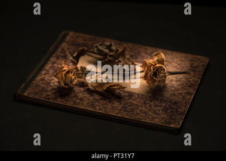 Verwelkte Rosen an einem Buch Stockfoto