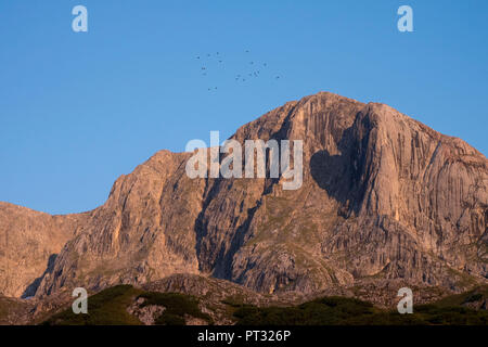 Schoberköpfe Peaks im Morgenlicht, Salzburg (Bundesland), Österreich Stockfoto