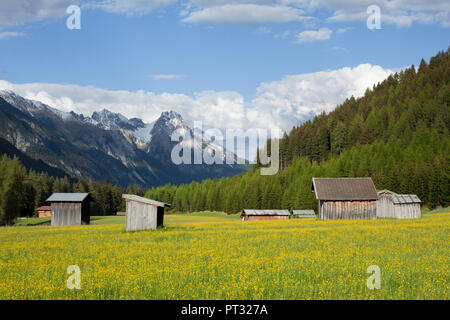 Der Frühling in der Stanzer Stanzer Tal (Tal) in der Nähe von Sankt Anton, Tirol, Österreich Stockfoto