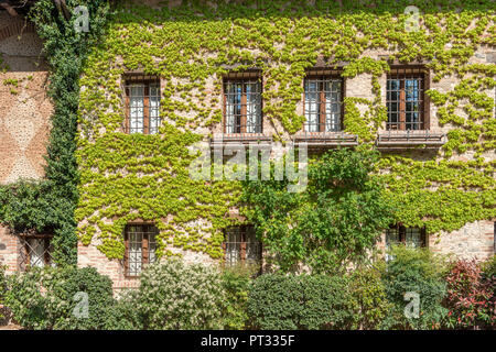Bassano del Grappa, der Provinz Vicenza, Venetien, Italien, Europa, Ivy deckt die Fassade eines Hauses Stockfoto