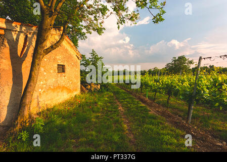 Franciacorta, Lombardei, Provinz Brescia, Italien, Stockfoto